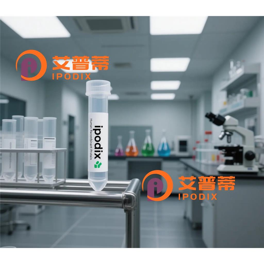 RANBP3抗体;RANBP3 Antibody—艾普蒂