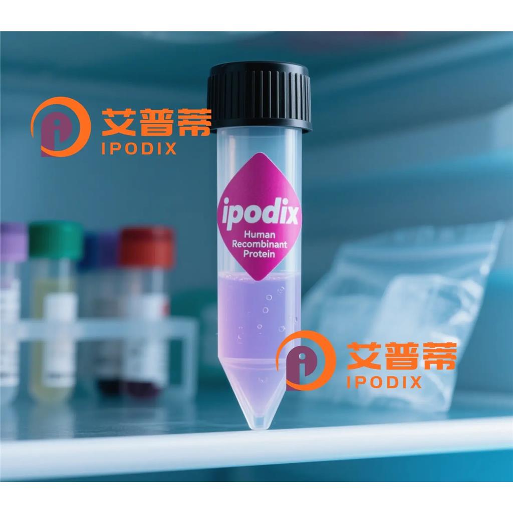 GTF2F2抗体;GTF2F2 Antibody—艾普蒂