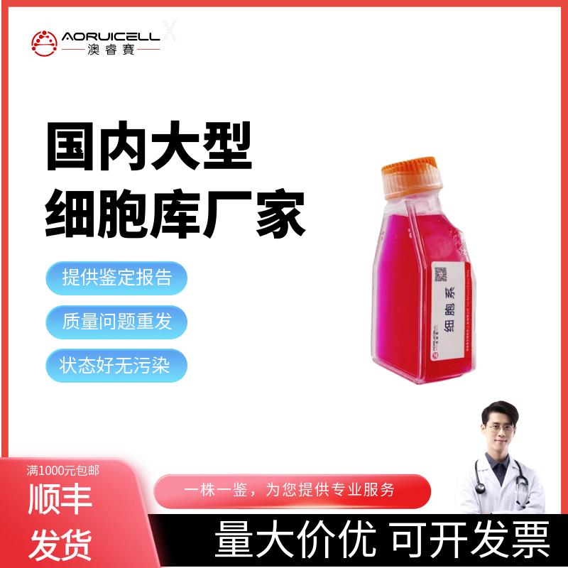 PC 61 5.3（杂交瘤细胞CD25）