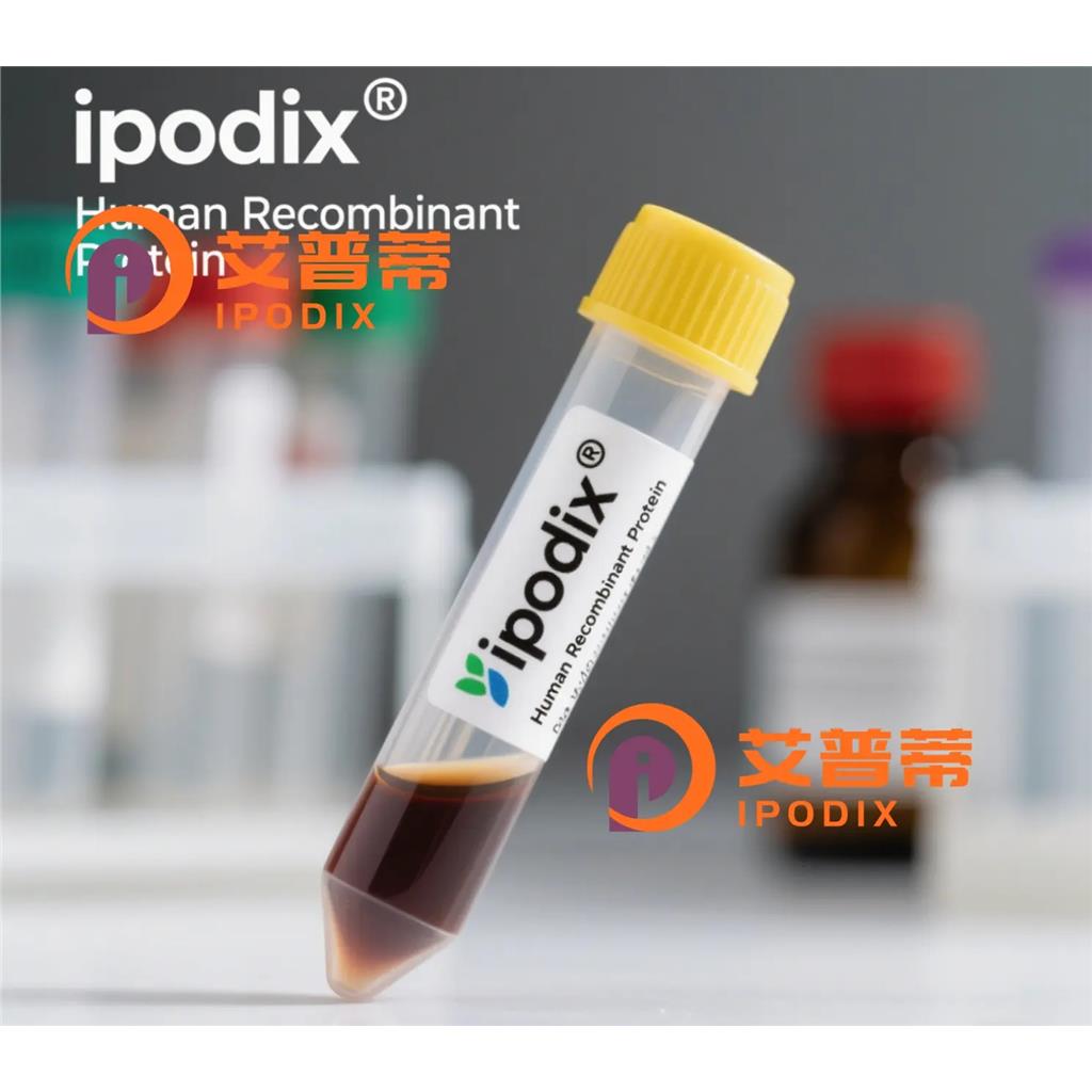 TUB1抗体;TUB1 Antibody—艾普蒂