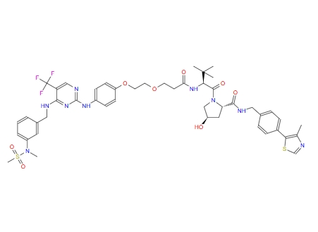 PROTAC FAK degrader 1