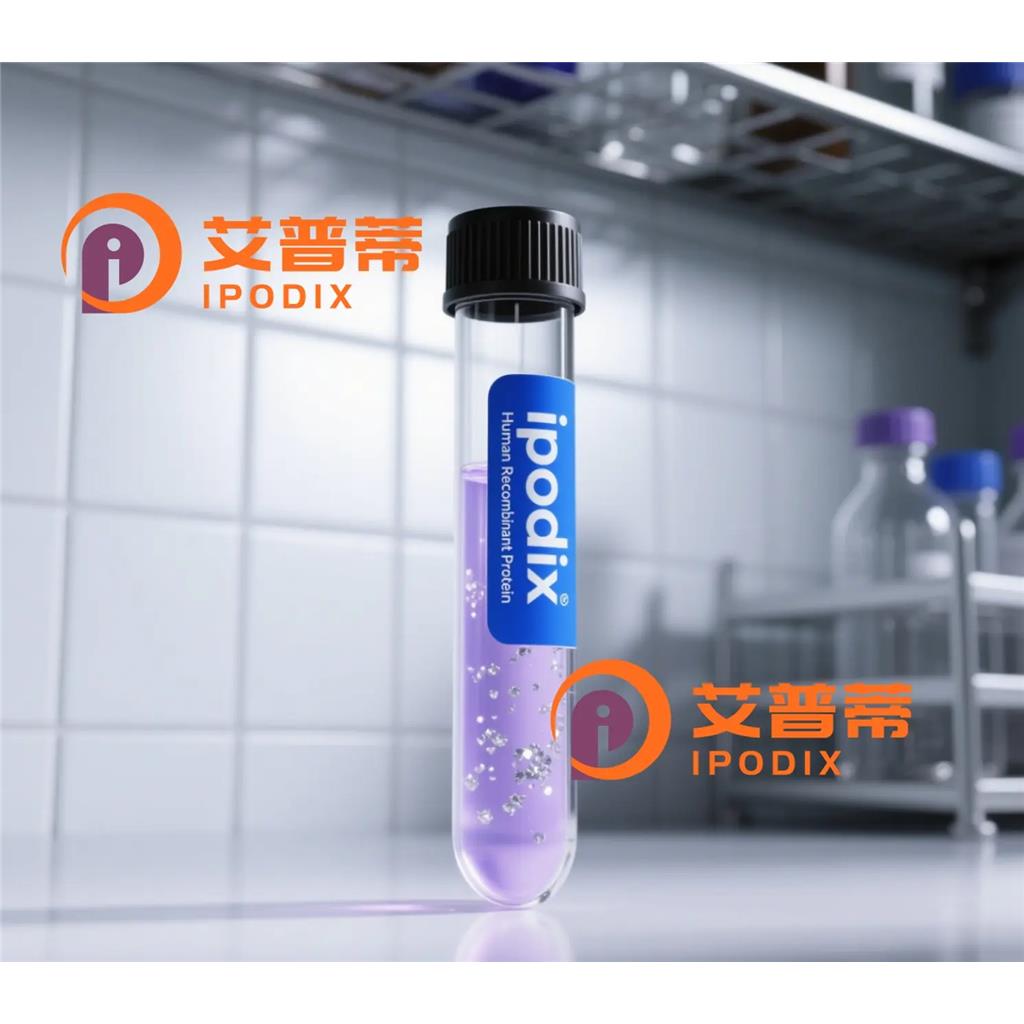 CSN8抗体;CSN8 Antibody—艾普蒂