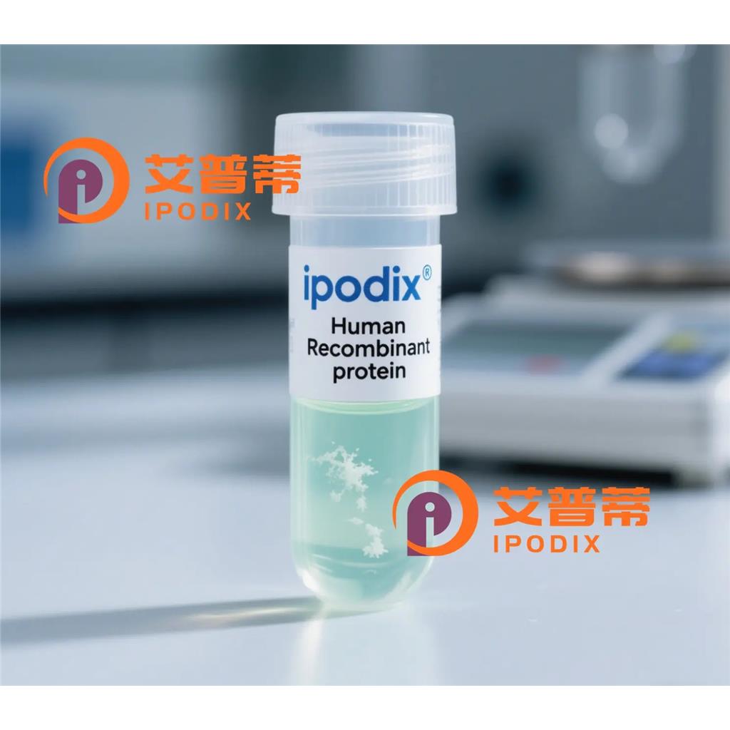 Importin9/RANBP9抗体;Importin9/RANBP9 Antibody—艾普蒂