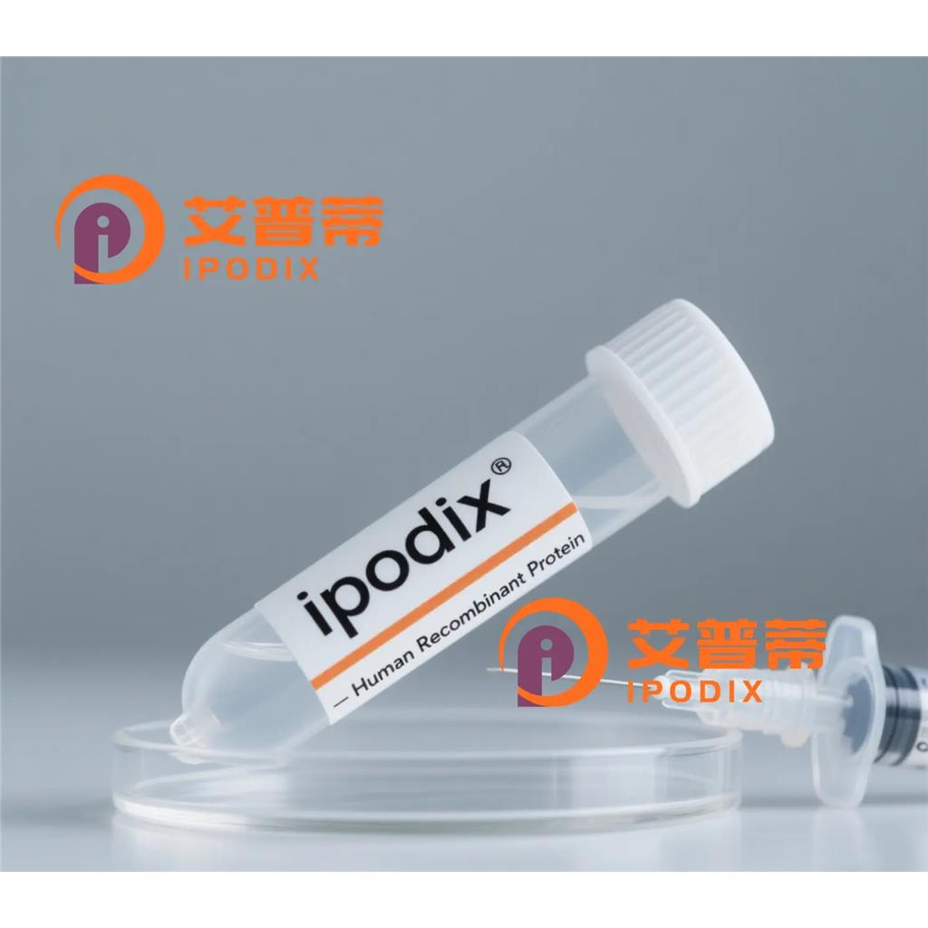 Phospho-PML Protein (Ser518)抗体;Phospho-PML Protein (Ser518) Antibody—艾普蒂