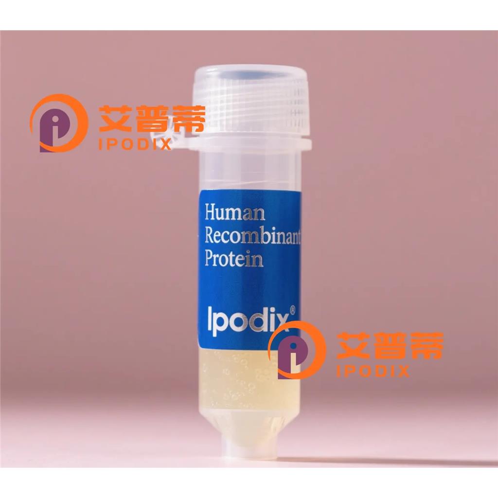 Phospho-GSK3 (Tyr216/Tyr279)抗体;Phospho-GSK3 (Tyr216/Tyr279) Antibody—艾普蒂