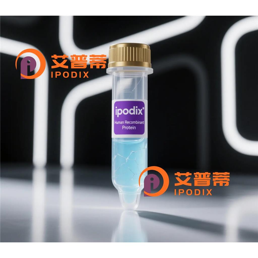 Phospho-MSK1 (Ser376)抗体;Phospho-MSK1 (Ser376) Antibody—艾普蒂