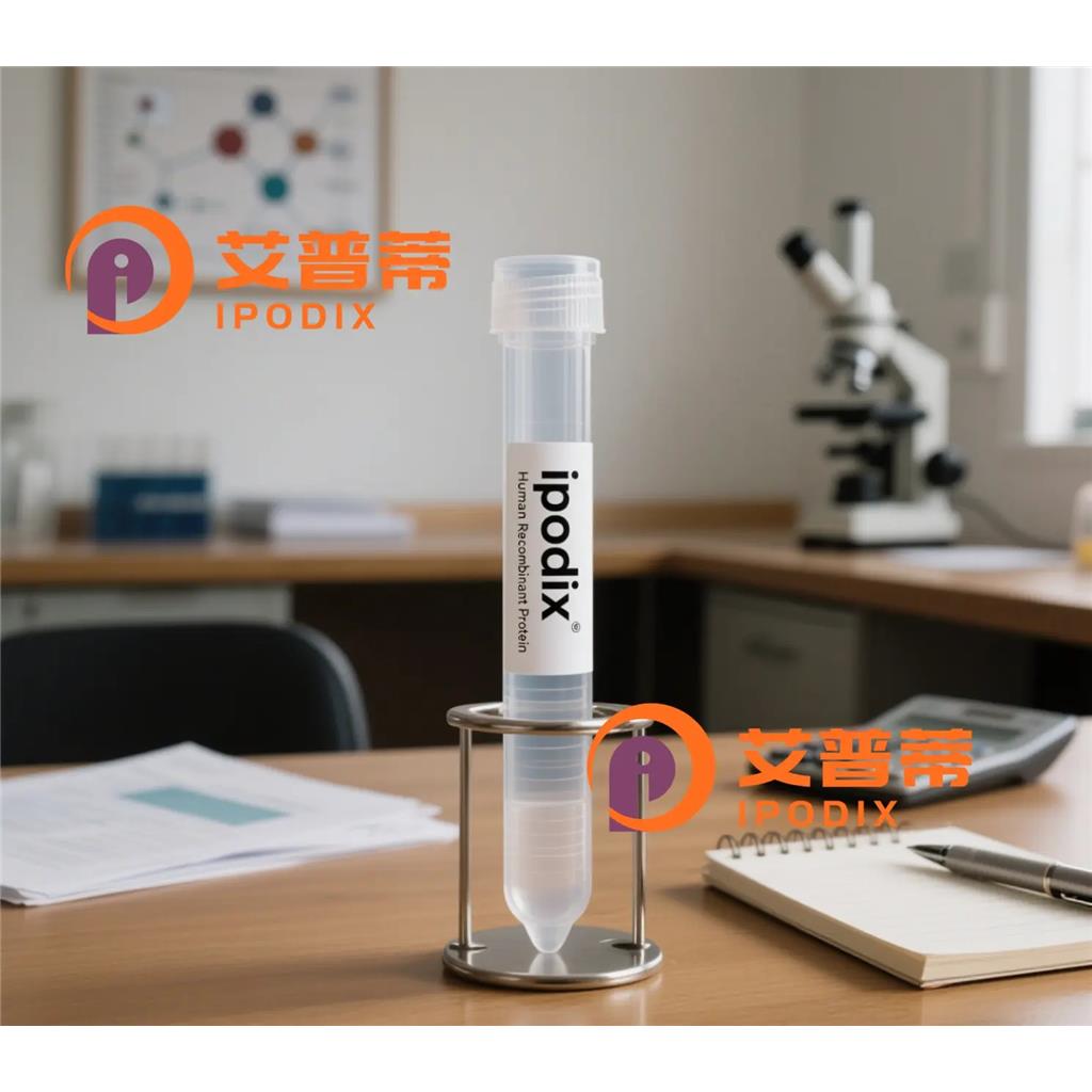 Phospho-Syk (Tyr323)抗体;Phospho-Syk (Tyr323) Antibody—艾普蒂