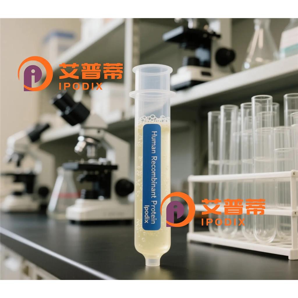 Phospho-Histone H4 (Ser1)抗体;Phospho-Histone H4 (Ser1) Antibody—艾普蒂