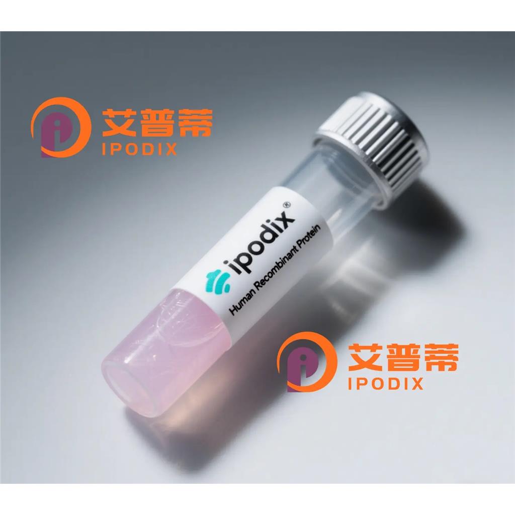 Phospho-HDAC5 (Ser498)抗体;Phospho-HDAC5 (Ser498) Antibody—艾普蒂