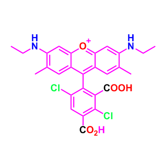 5dR6G，5-羧基-4,7-二氯罗丹明6G，5-dR6G,琥珀酰亚胺酯