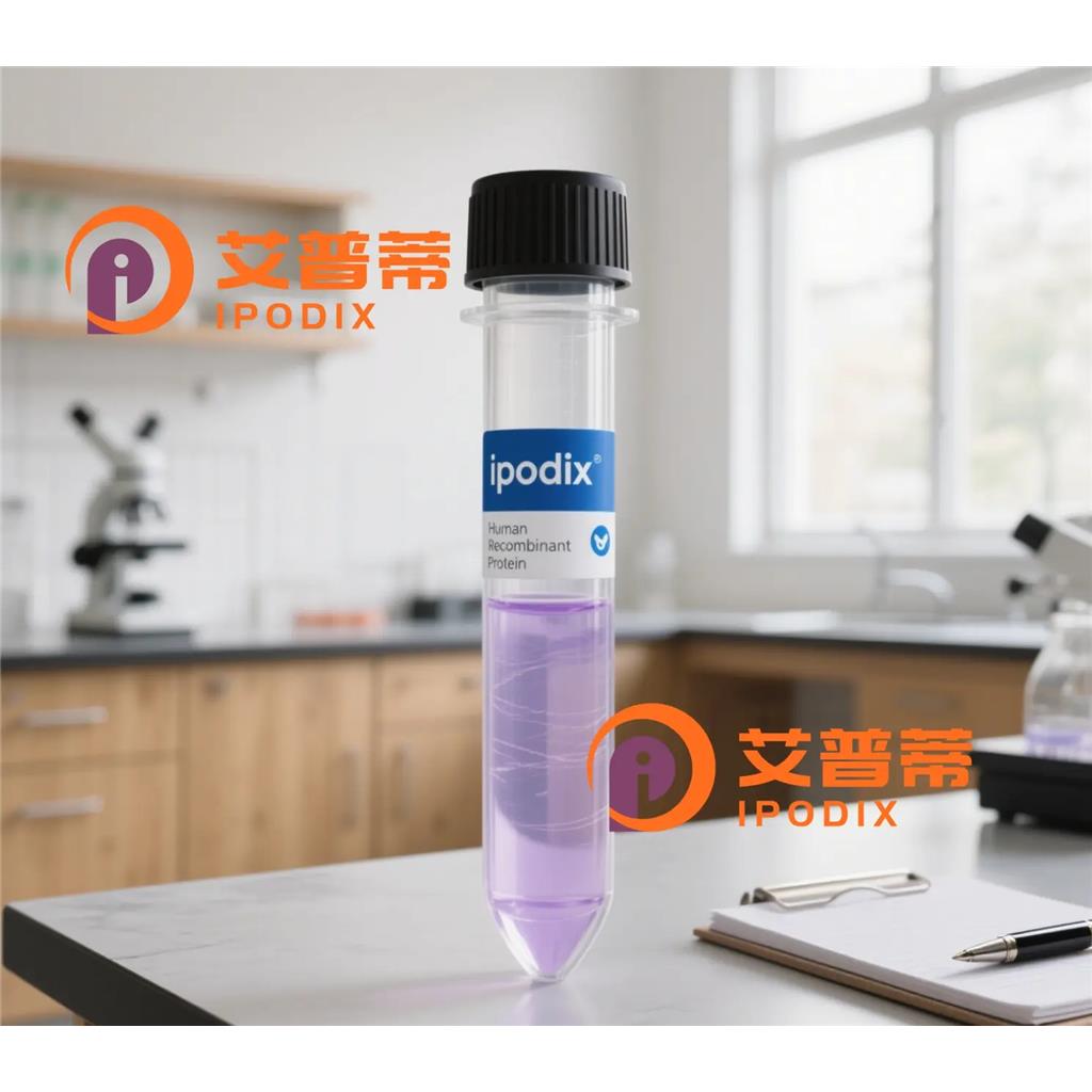 Phospho-CHOP (Ser30)抗体;Phospho-CHOP (Ser30) Antibody—艾普蒂