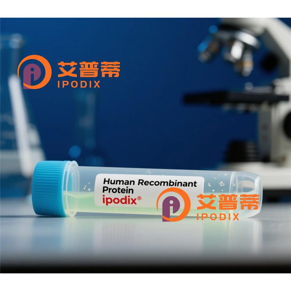 Phospho-HDAC6 (Ser22)抗体;Phospho-HDAC6 (Ser22) Antibody—艾普蒂