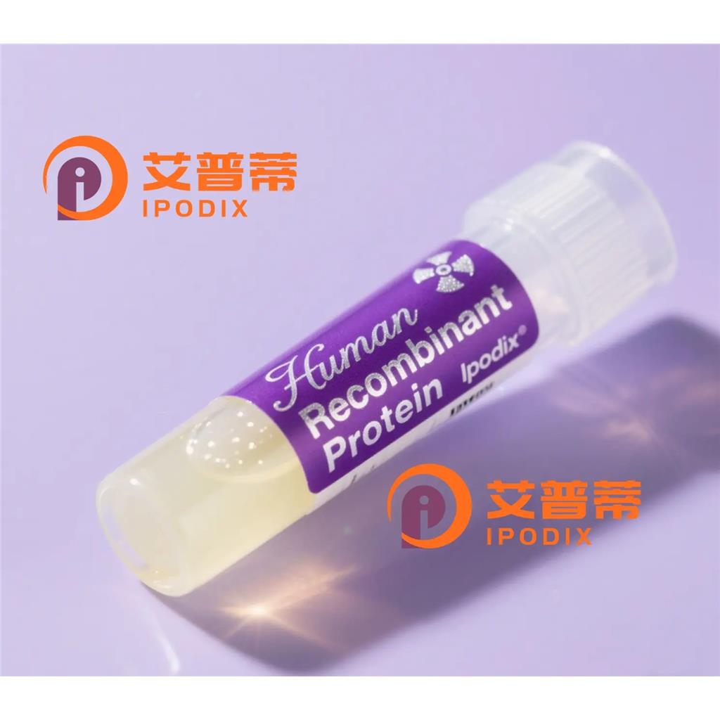 epsilon Tubulin抗体;epsilon Tubulin Antibody—艾普蒂