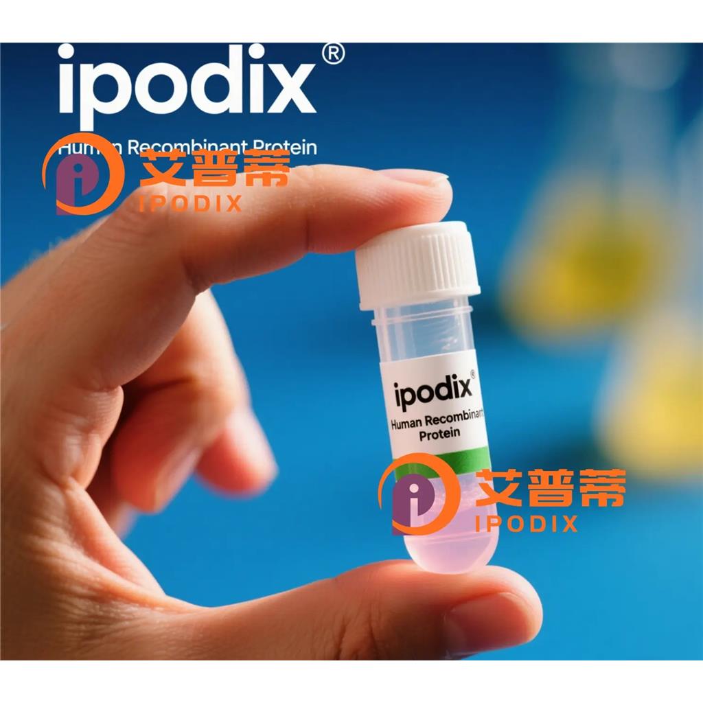 LC3A抗体;LC3A Antibody—艾普蒂