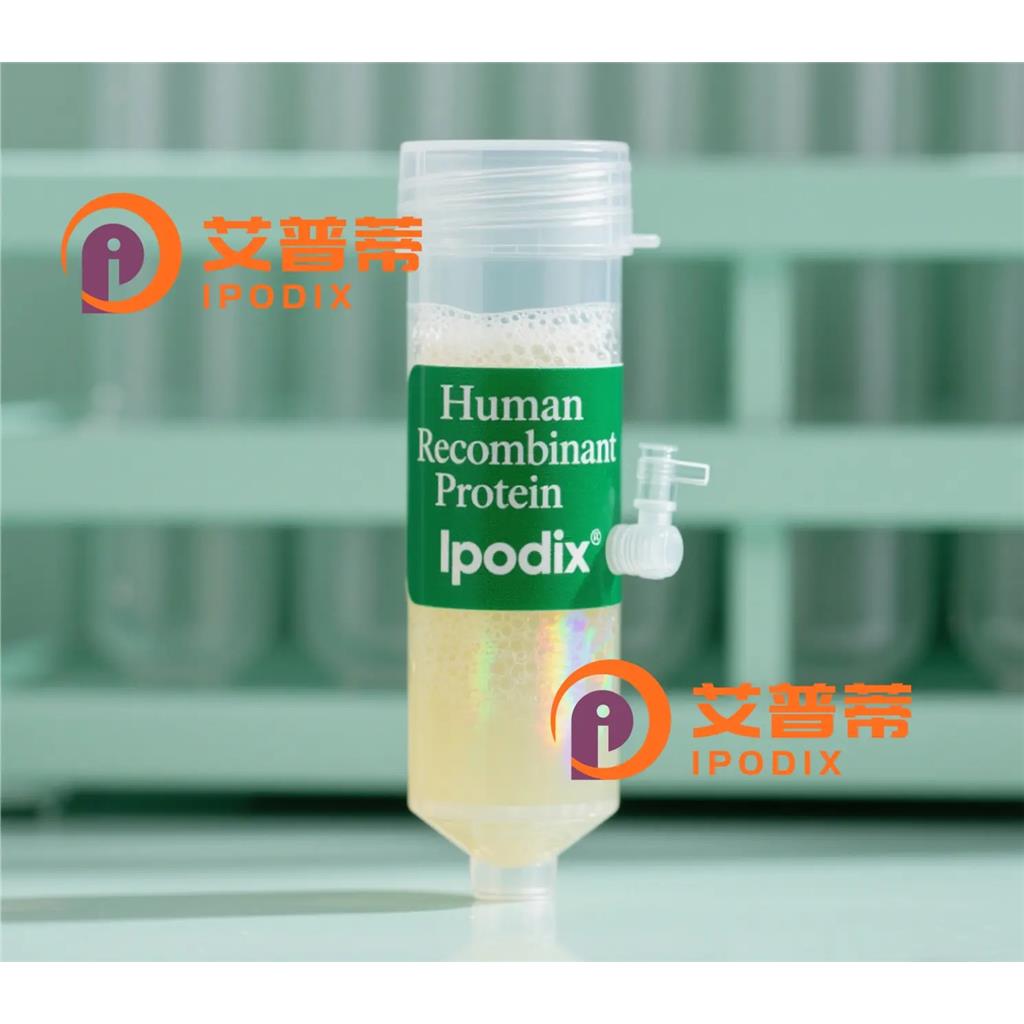 APG5L抗体;APG5L Antibody—艾普蒂