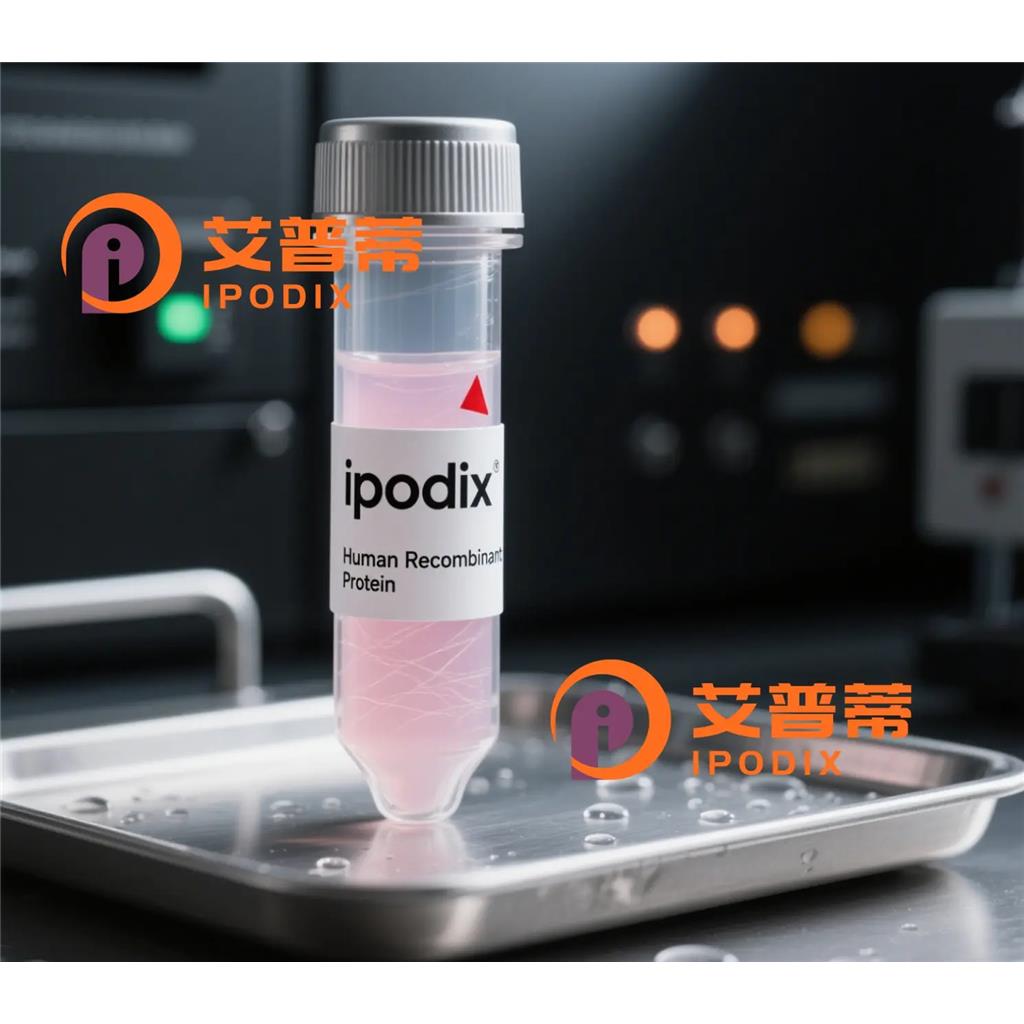 Eg5抗体;Eg5 Antibody—艾普蒂