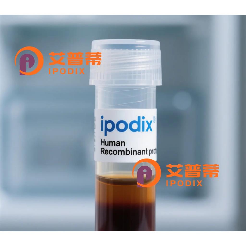 Fatty Acid Synthase抗体;Fatty Acid Synthase Antibody—艾普蒂