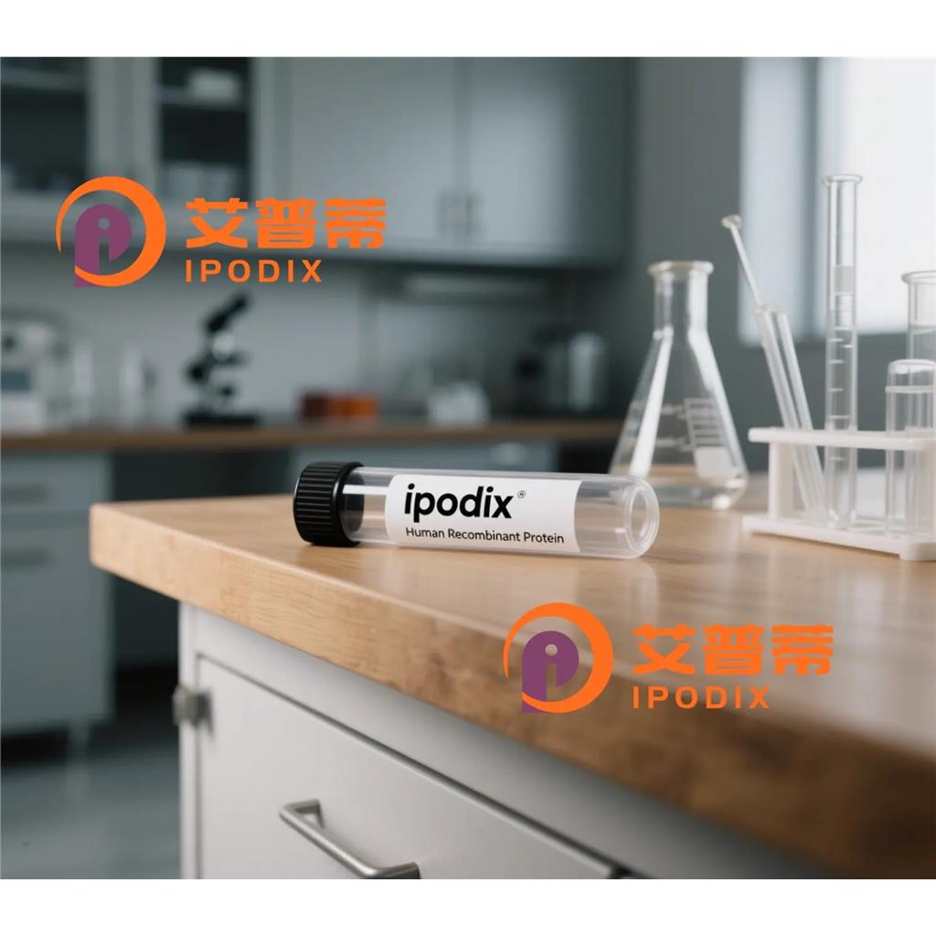 Smad2/3抗体;Smad2/3 Antibody—艾普蒂