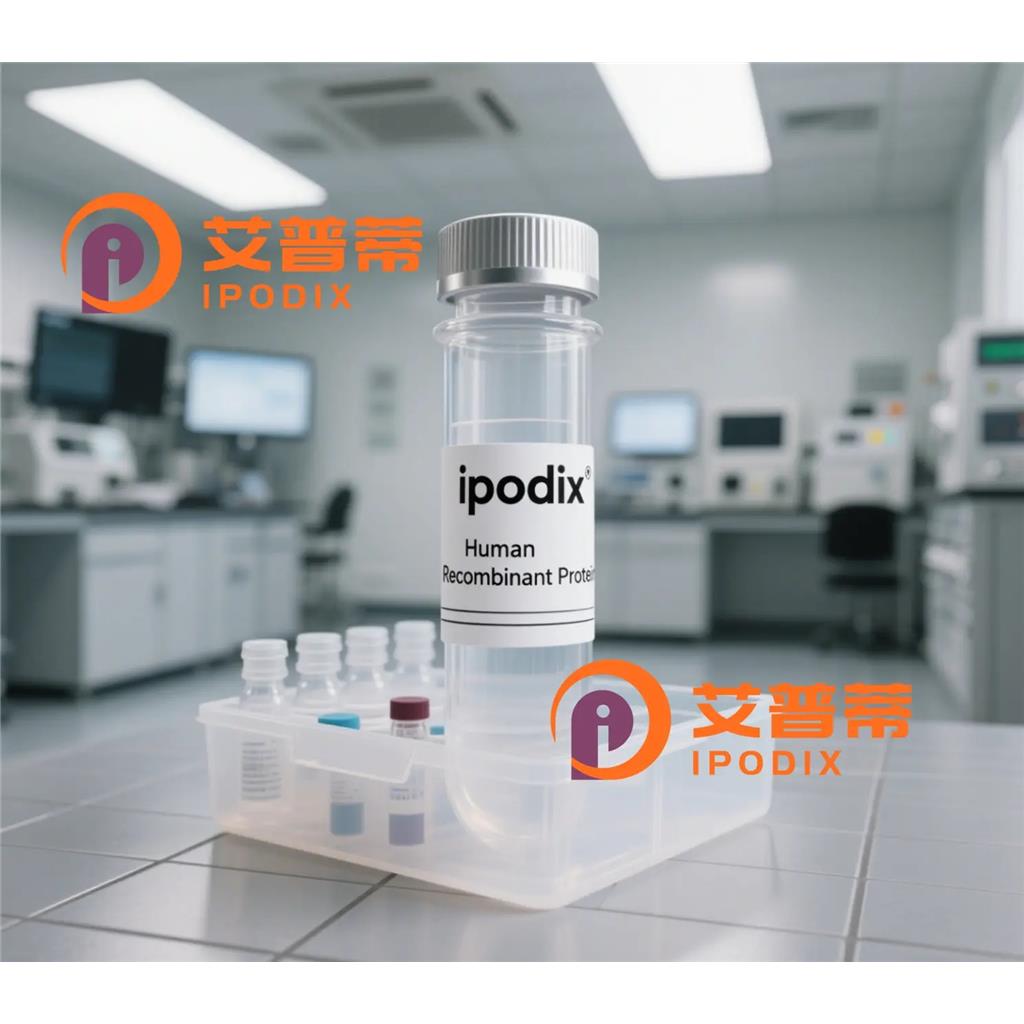 Hsp40抗体;Hsp40 Antibody—艾普蒂