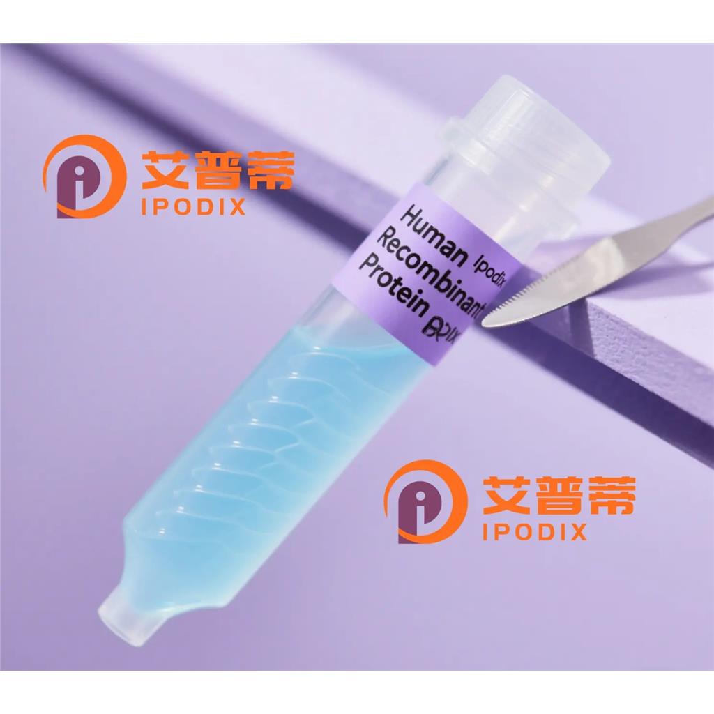 AXL抗体;AXL Antibody—艾普蒂