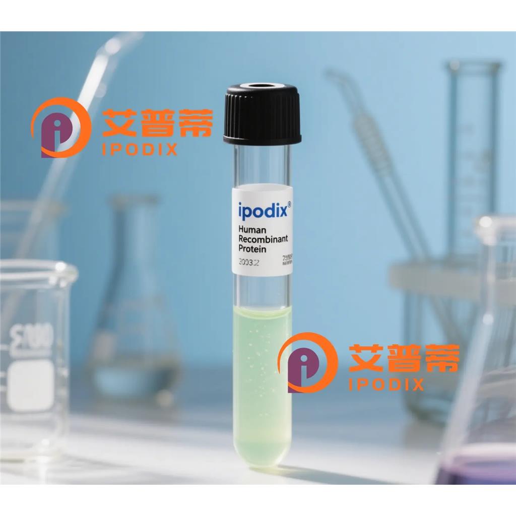 Bok抗体;Bok Antibody—艾普蒂