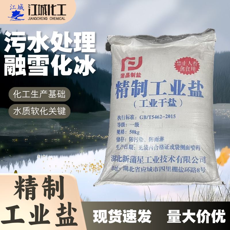 精制工业盐 干盐粉末盐 7647-14-5
