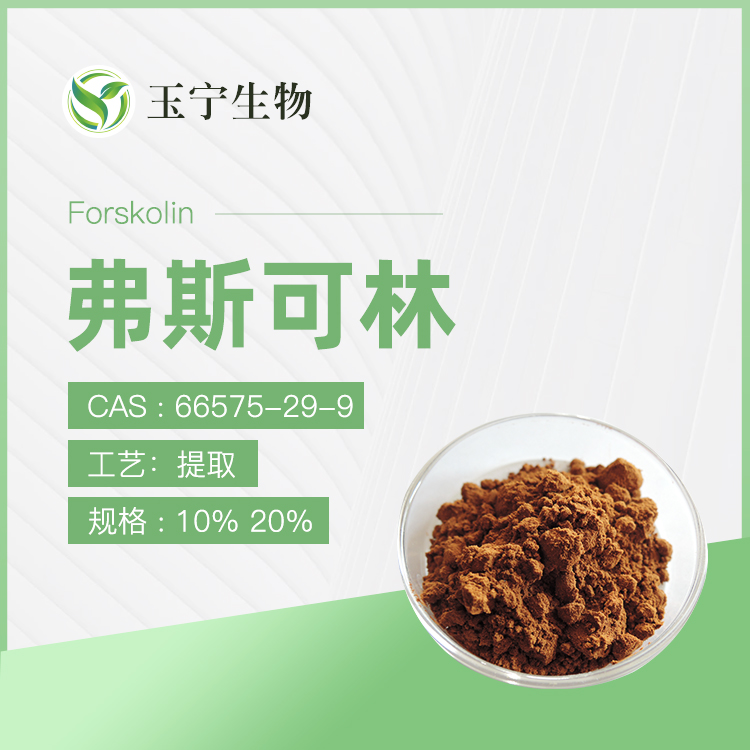毛喉鞘蕊花提取物(弗斯可林)  66575-29-9