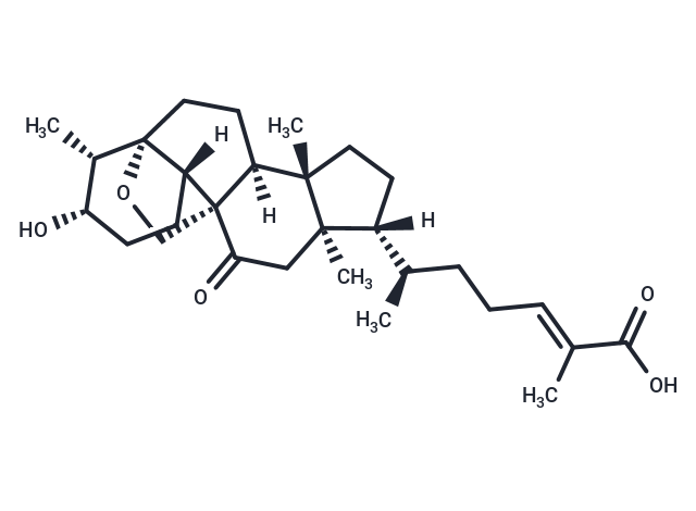 罗汉果酸甲|T13885|TargetMol