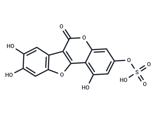 化合物 Demethylwedelolactone Sulfate|T13644|TargetMol