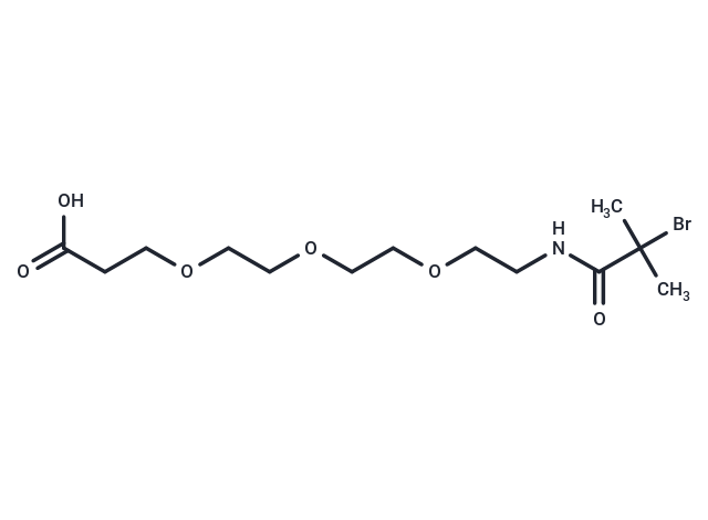 化合物 2-Bromo-2,2-dimethyl-acetamido-PEG3-acid|T17329|TargetMol