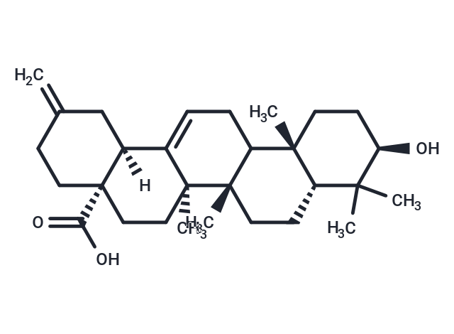 化合物 3α-Akebonoic Acid|T21030|TargetMol