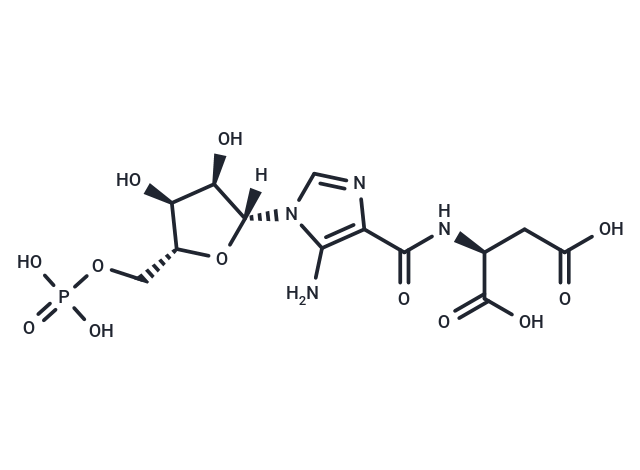 化合物 SAICAR|T16837|TargetMol