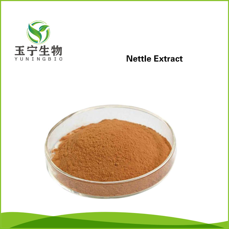 荨麻提取物