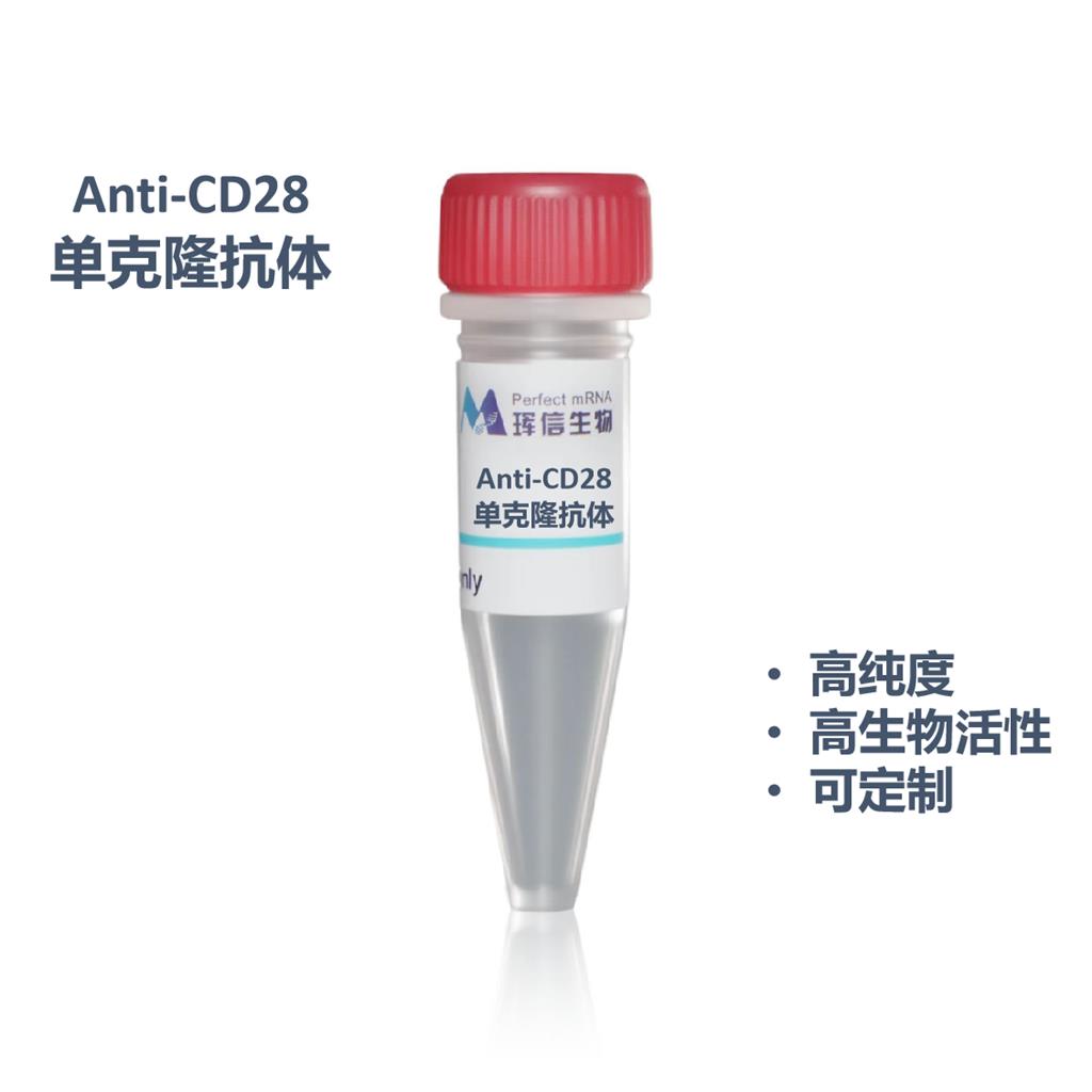 Anti-CD28 单克隆抗体