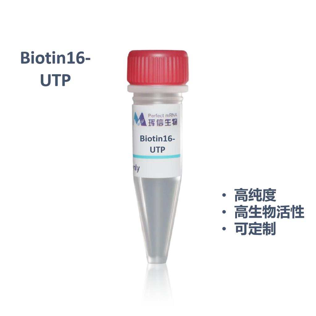 Biotin16-UTP solution