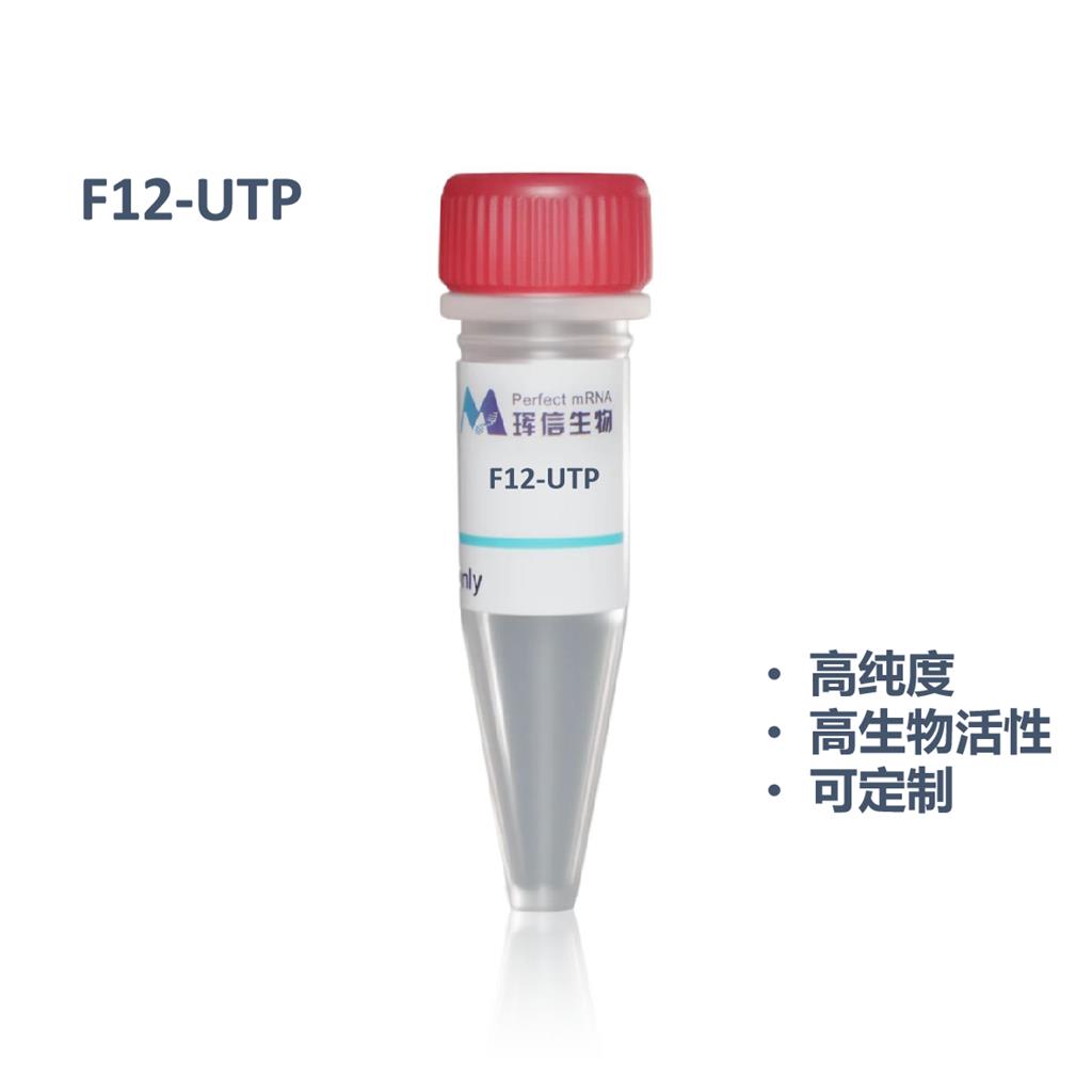 F12标记UTP