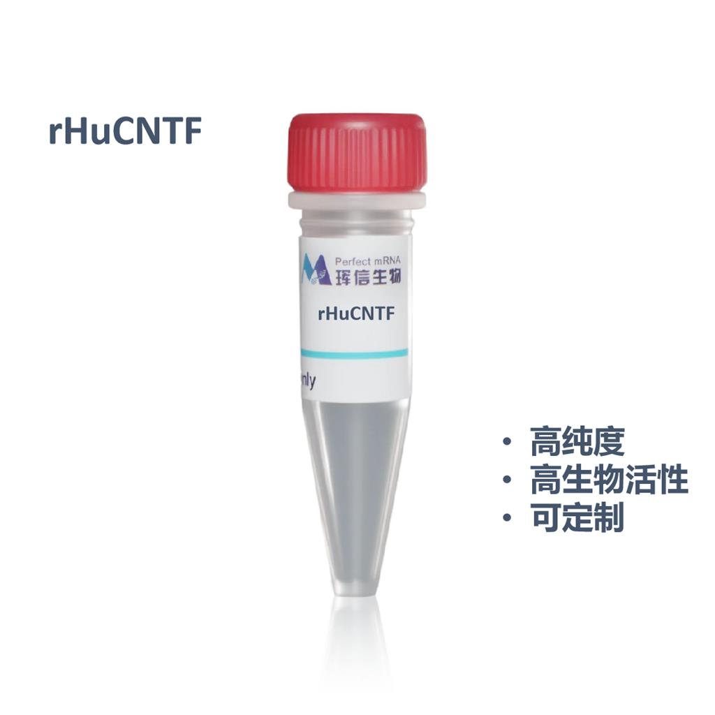 rHuCNTF蛋白