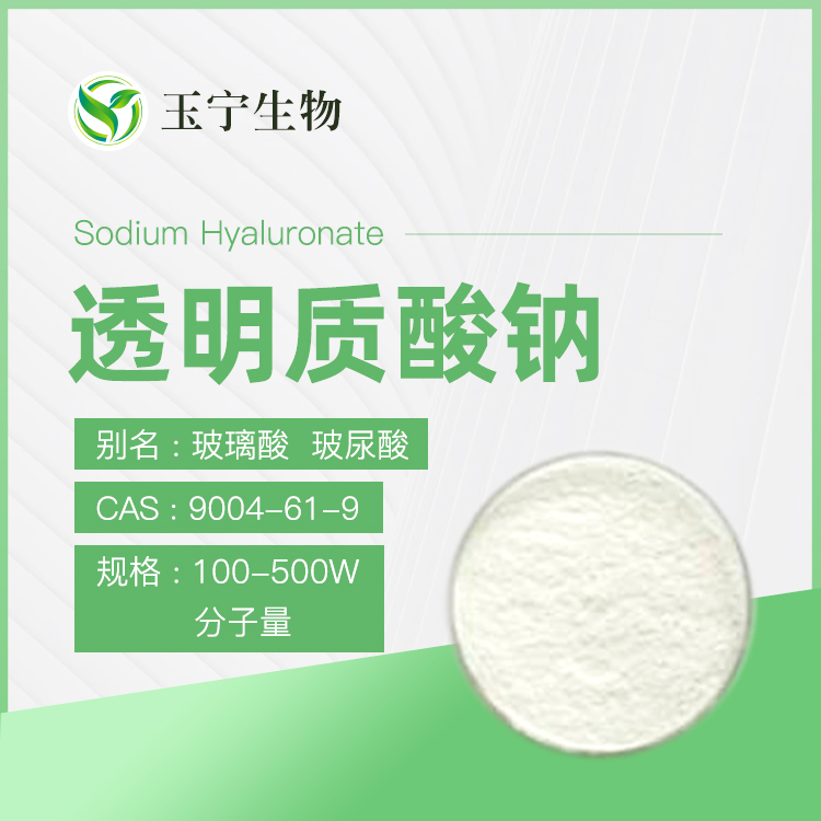 透明质酸钠 9004-61-9