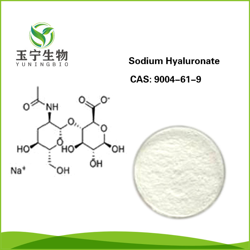 透明质酸钠 9004-61-9