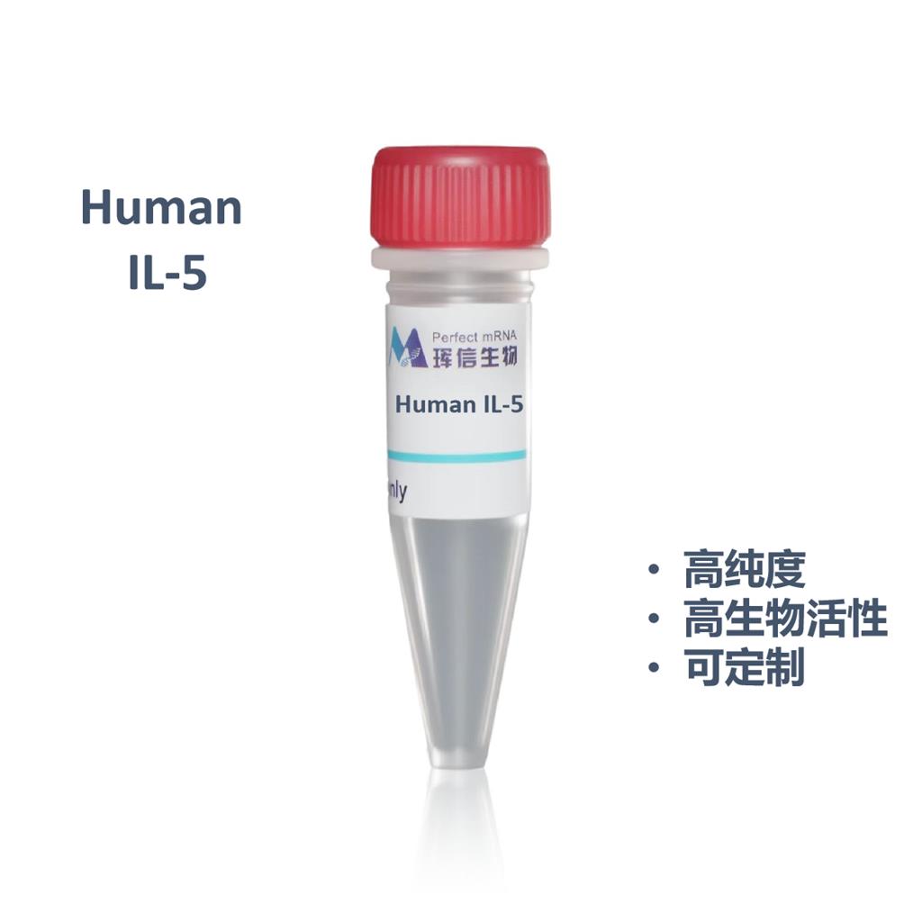 Human IL-5蛋白