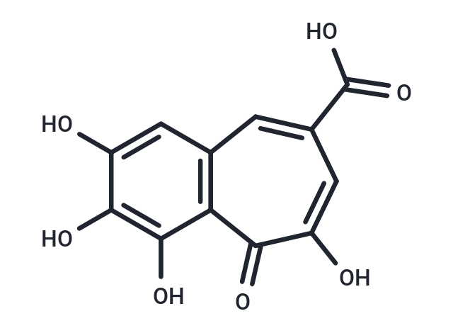 化合物 Purpurogallin carboxylic acid|T12582|TargetMol
