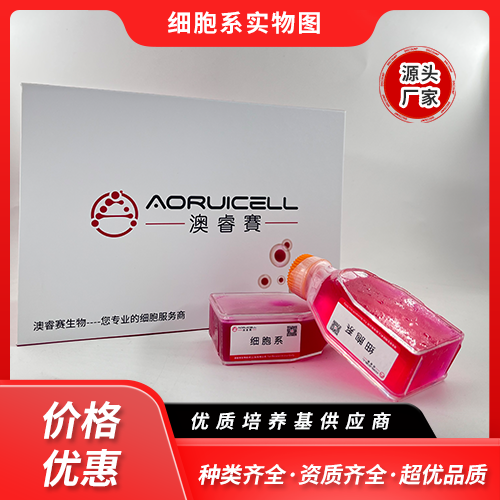 SW-13（人肾上腺皮质小细胞癌细胞）