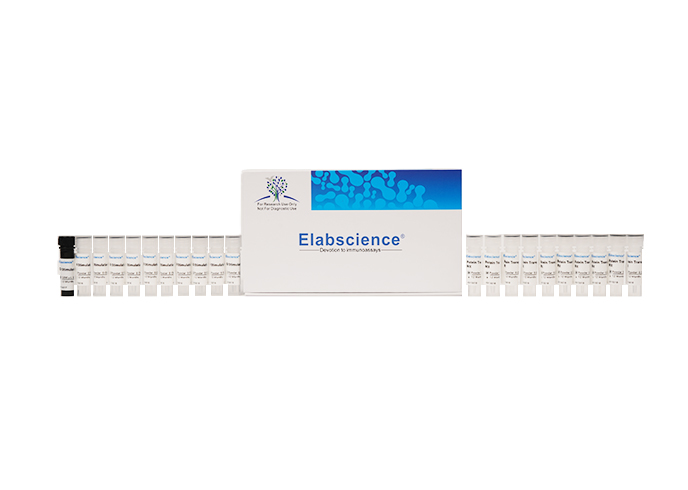 Elabscience 细胞因子激活和蛋白阻断试剂盒-E-CK-A091