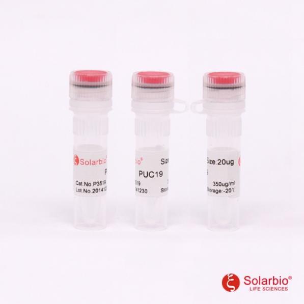 PUC19质粒，品牌 Solarbio
