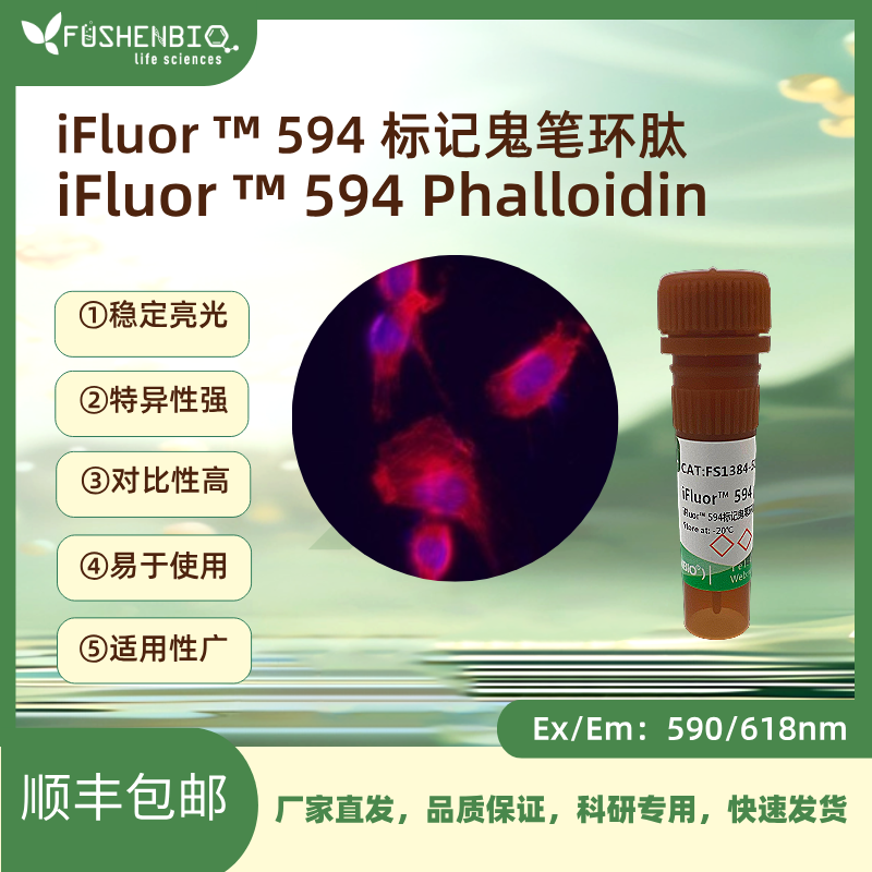 iFluor 594标记鬼笔环肽