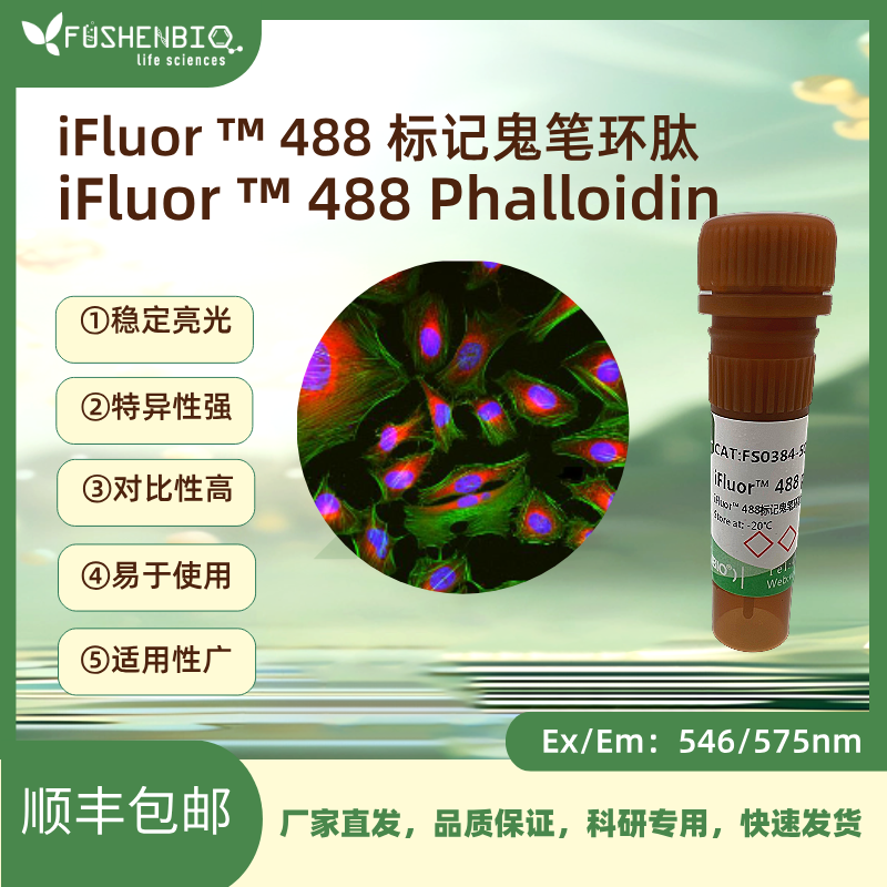 iFluor 488标记鬼笔环肽