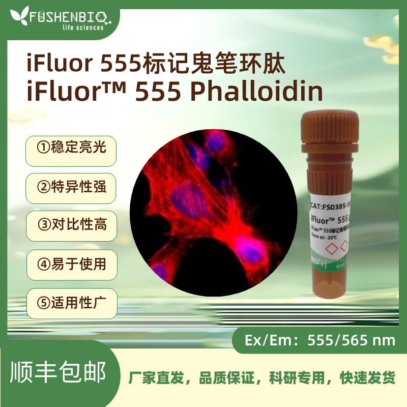 iFluor 555标记鬼笔环肽