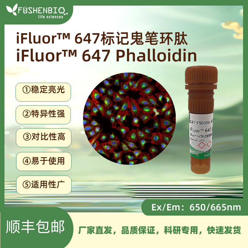 iFluor 647标记鬼笔环肽