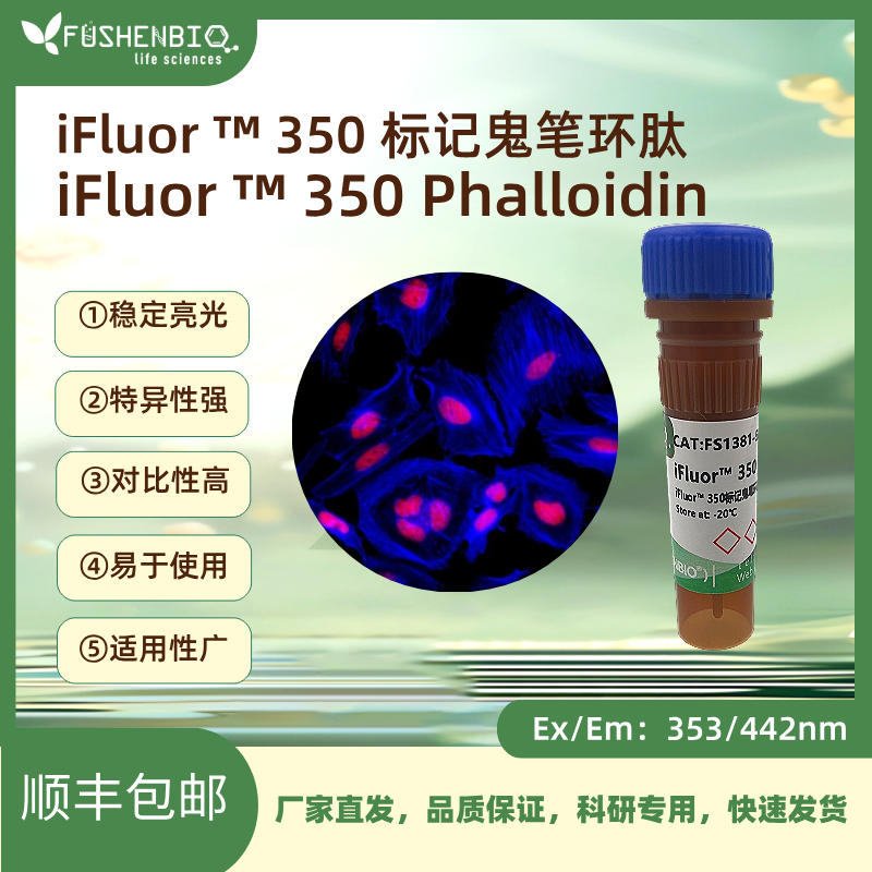 iFluor 350标记鬼笔环肽