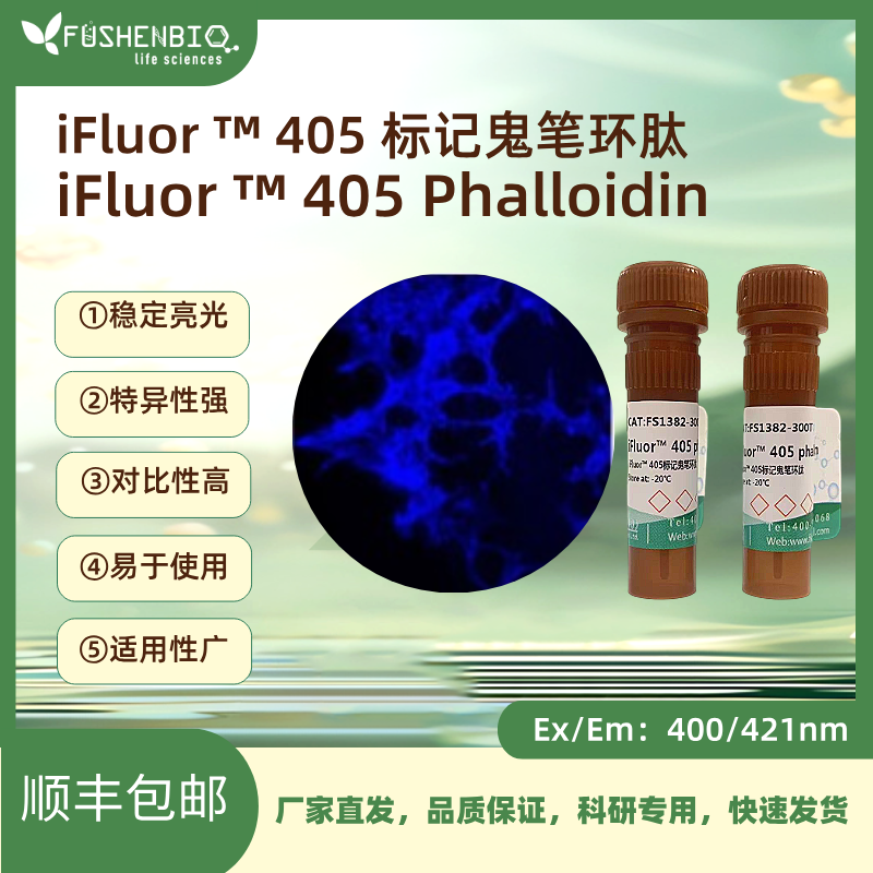 iFluor 405标记鬼笔环肽